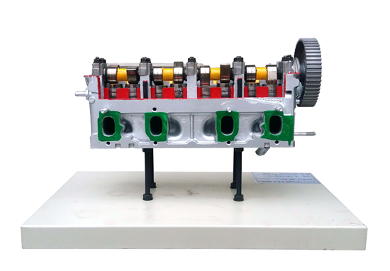带凸轮轴气缸和气缸盖解剖模型