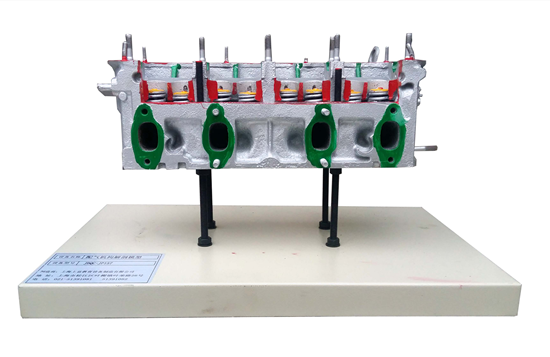 配气机构解剖模型