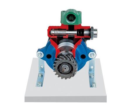 转子泵(卡车)解剖模型