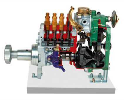 直列喷射泵解剖模型(RSV)
